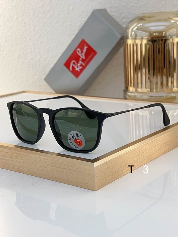 RayBan Sunglasses ID:20240804-331